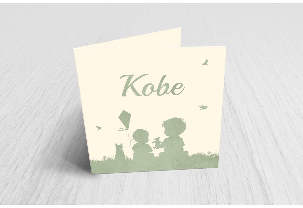 Broertjes en de kat Broertjes en de kat